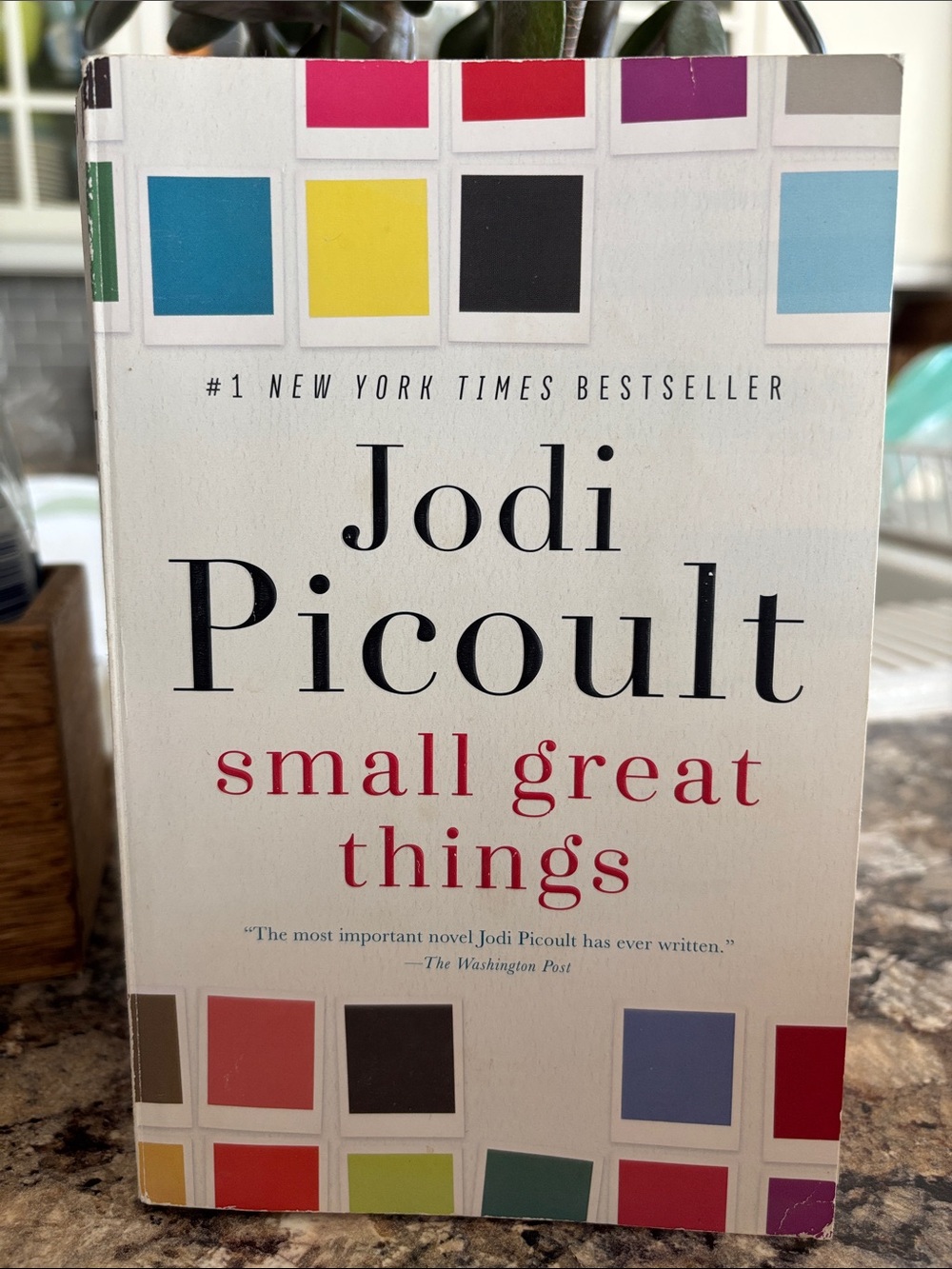 💕2/$15💕 “Small Great Things” by Jodi Picoult, novel